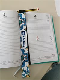 FASCIA AGENDA